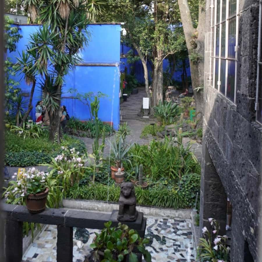 Mexico City: Frida Kahlo Museum Tour - The story of Frida Kahlo you will hear during the walk