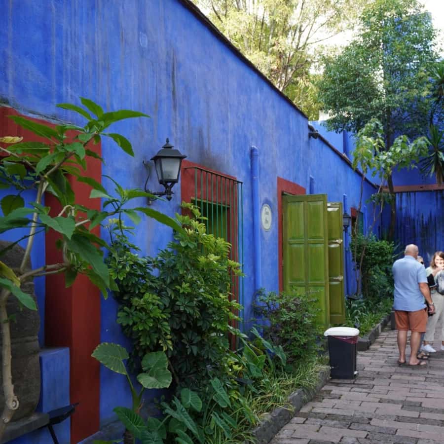 Mexico City: Frida Kahlo Museum Tour - Entering the Blue House in Coyoacán: what you’ll actually see