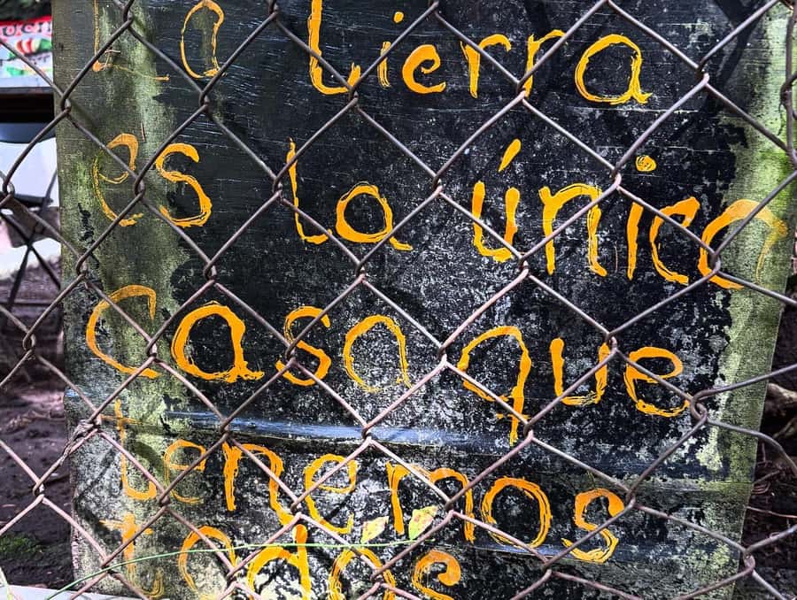 Mexico City: Guided Hike in the Dinamos Forest - The Dynamo Ruins: History You Can Actually See