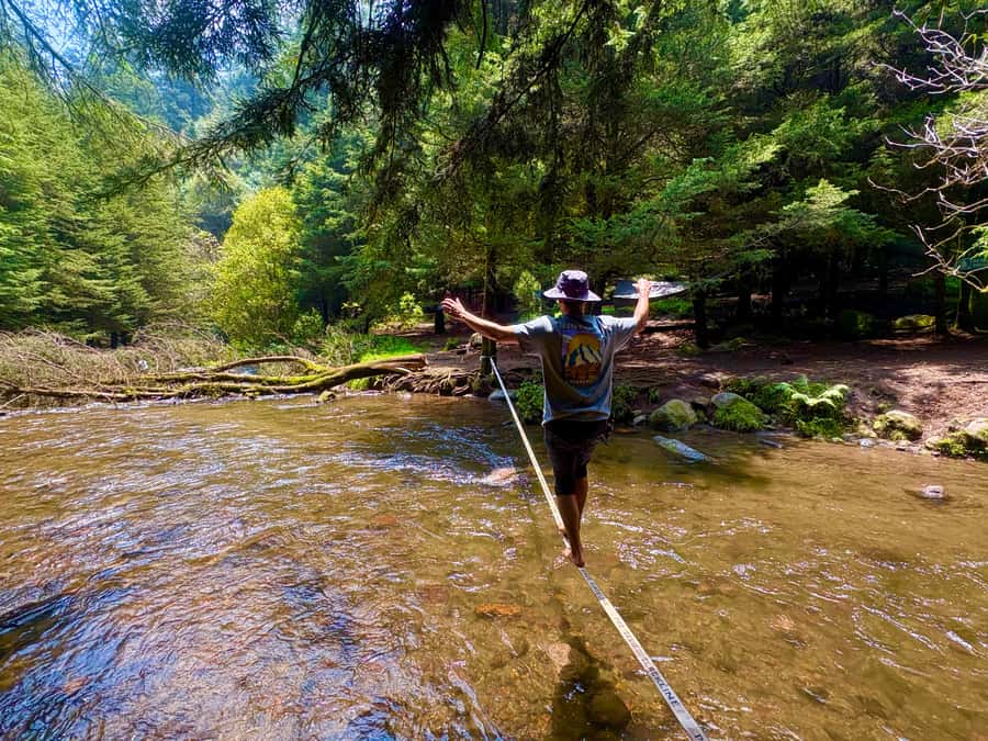 Mexico City: Guided Hike in the Dinamos Forest - Walking the Trail: What the 5 Hours Feels Like