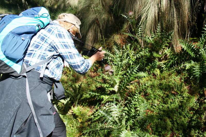 Mexico City: Guided Volcano Trek with Lunch - Key things to know before you go