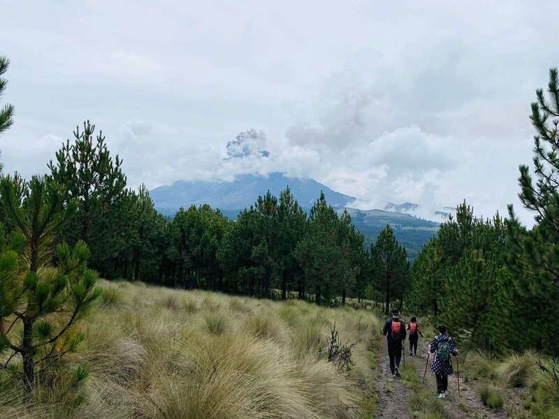 Mexico City: Guided Volcano Trek with Lunch - The market lunch stop: why this matters more than a boxed meal