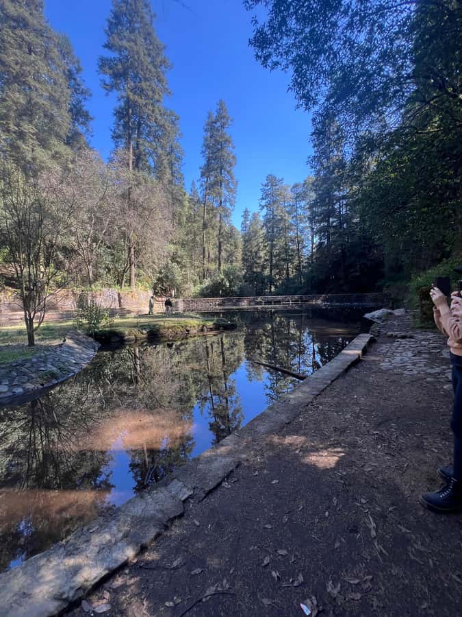 Mexico city: Hiking tour to Desierto de los leones - What the hike feels like on a beginner route