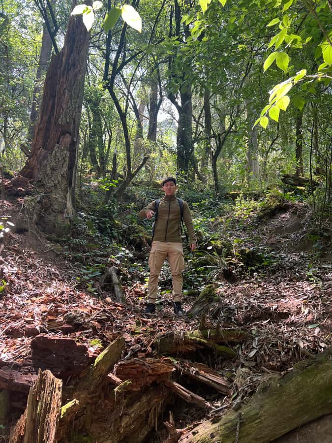 Mexico city: Hiking tour to Desierto de los leones - What’s included, what’s not, and why the price can make sense