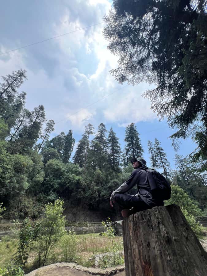 Mexico city: Hiking tour to Desierto de los leones - Small group energy: more questions, less waiting