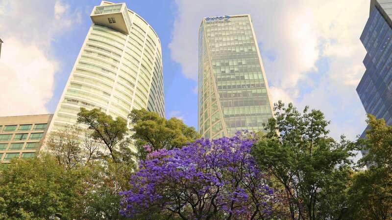 Mexico City: Hop-on Hop-off City Tour with Attractions - South Circuit (Coyoacán): art, bohemian vibes, and the Frida Kahlo area