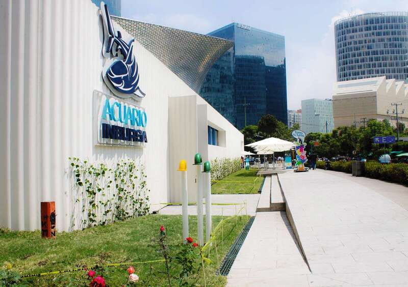 Mexico City: Inbursa Aquarium optional Round trip transfer - Inbursa Aquarium’s Underground Entrance: from the Van to the Submarine Elevator
