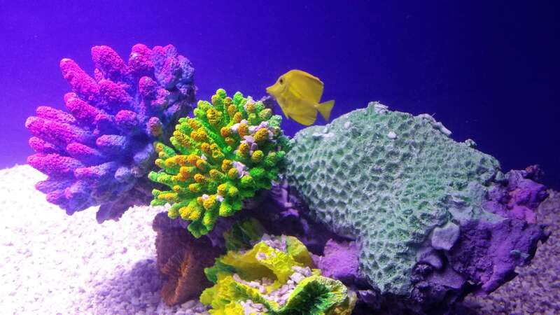 Mexico City: Inbursa Aquarium optional Round trip transfer - Sunken Ship + Wave Simulations: the science behind the drama