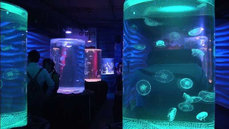 Mexico City: Inbursa Aquarium optional Round trip transfer - Transportation and Timing: what the 3-hour visit really feels like