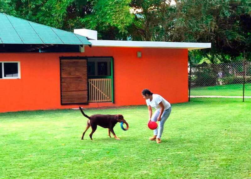 Mexico City: Las Estacas Natural Park Private Tour - What’s Included, What’s Not, and What to Bring for Las Estacas