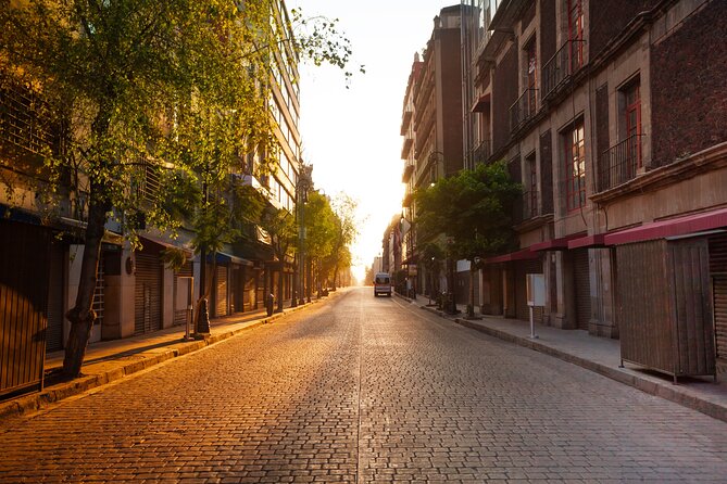 Mexico City Layover Tour: Downtown City Sightseeing - Who this tour is best for