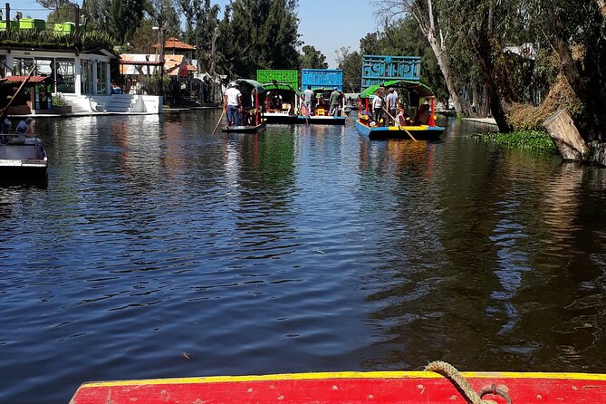 Mexico City Like a Local: Private & Custom Experience (2-4 hrs) - Wandering a cobbled, bohemian-feeling neighborhood