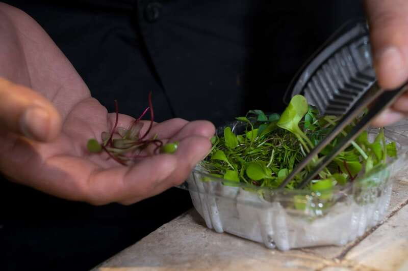 Mexico City: Mexican Cooking Class - Price and value: $121 for ingredients, materials, and recipes