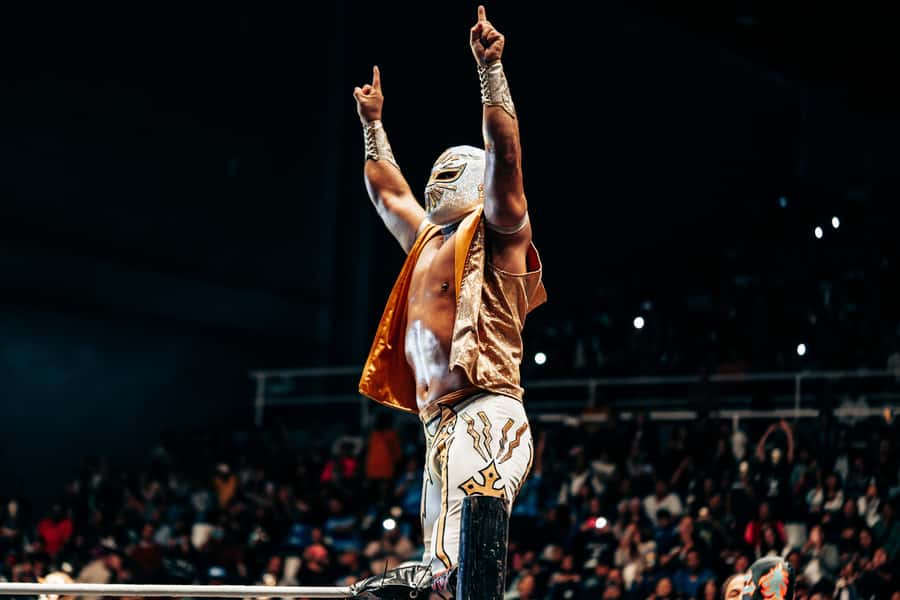 Mexico City: Mexican evening, lucha libre, and tequila - Key highlights you will feel right away