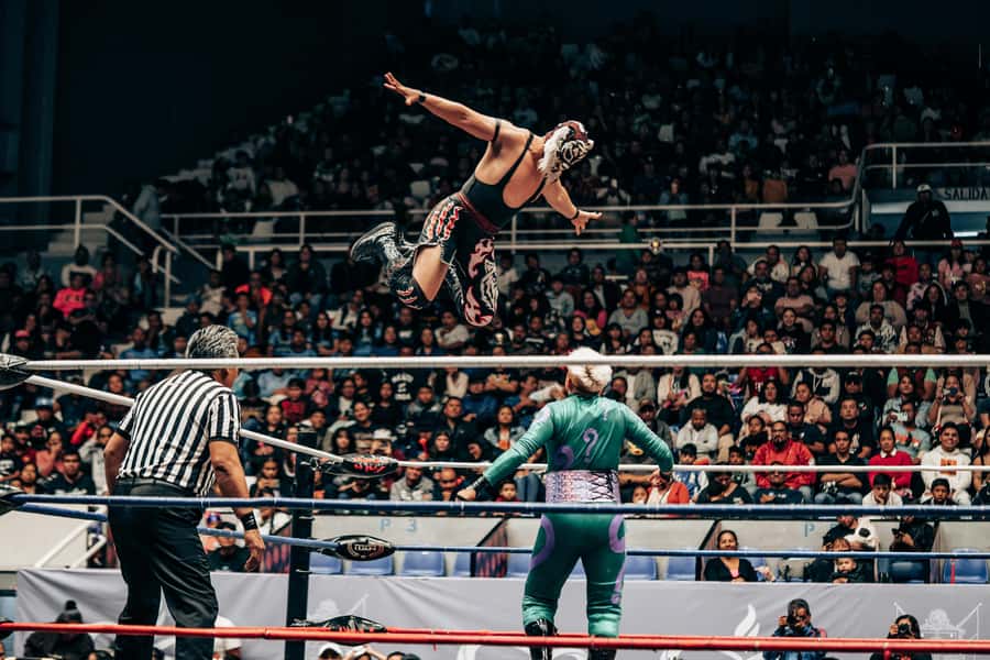 Mexico City: Mexican evening, lucha libre, and tequila - Why this Mexico City evening works so well