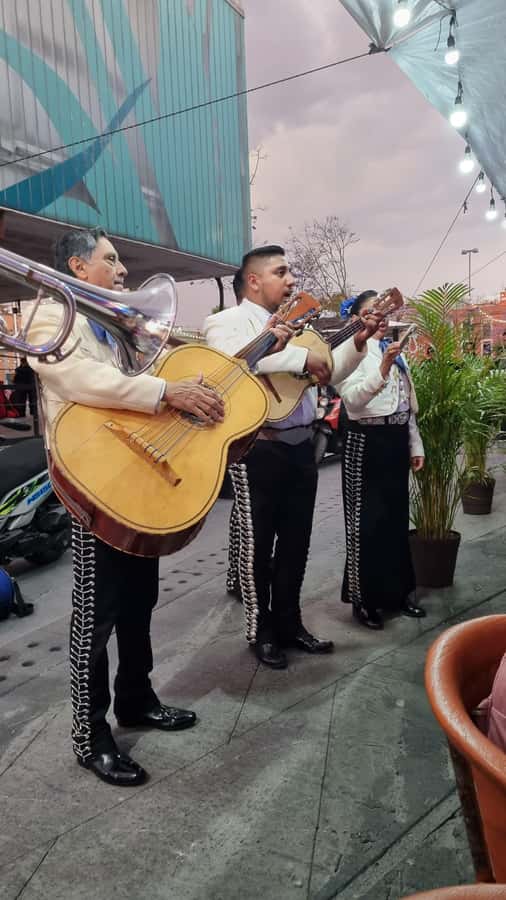 Mexico City: Mexican evening, lucha libre, and tequila - What to bring, and how to avoid small problems