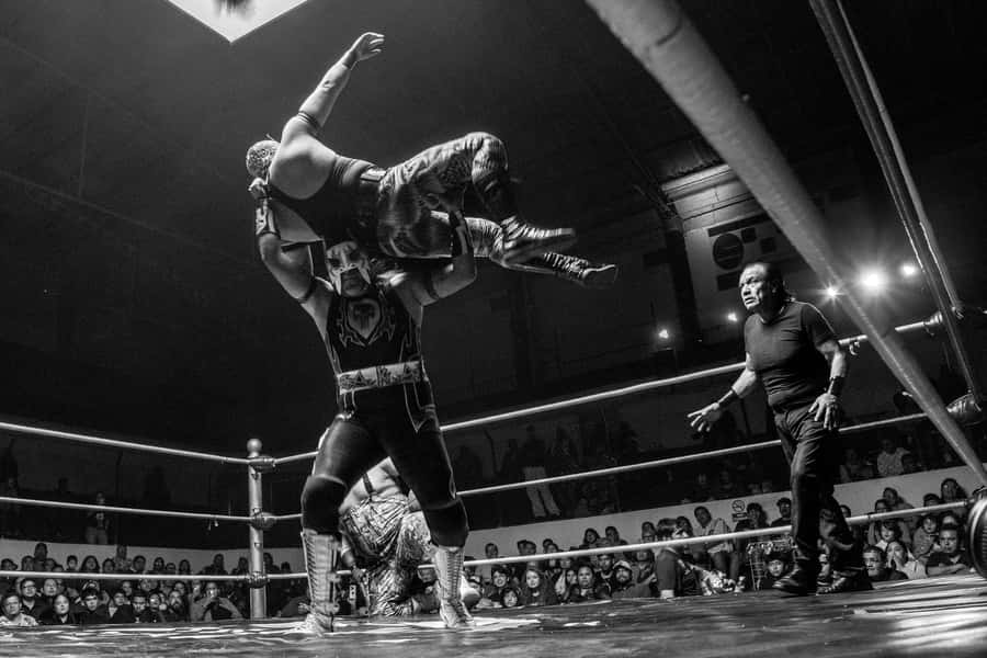 Mexico City: Mexican evening, lucha libre, and tequila - Spirits in a traditional cantina, and what you should notice