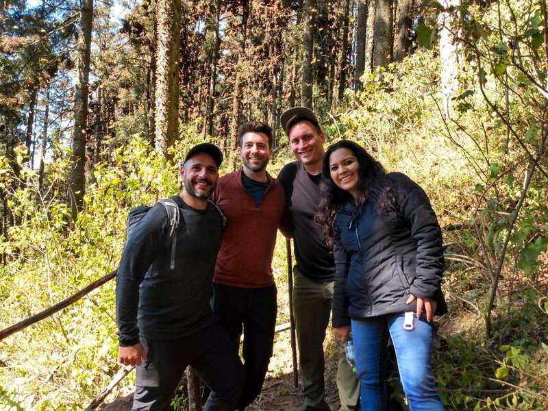 Mexico City: Monarch Butterflies, Sierra Chincua & Angangueo - Sierra Chincua Biosphere Reserve: what the monarch show feels like