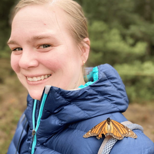 Mexico City: Monarch Butterflies, Sierra Chincua & Angangueo - The long Mexico City drive: comfort tips that can save your day