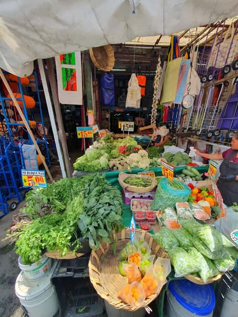 Mexico City: Mystic Markets La Merced & Sonora Culinary Tour - Rules, what to pack, and how to avoid common mistakes