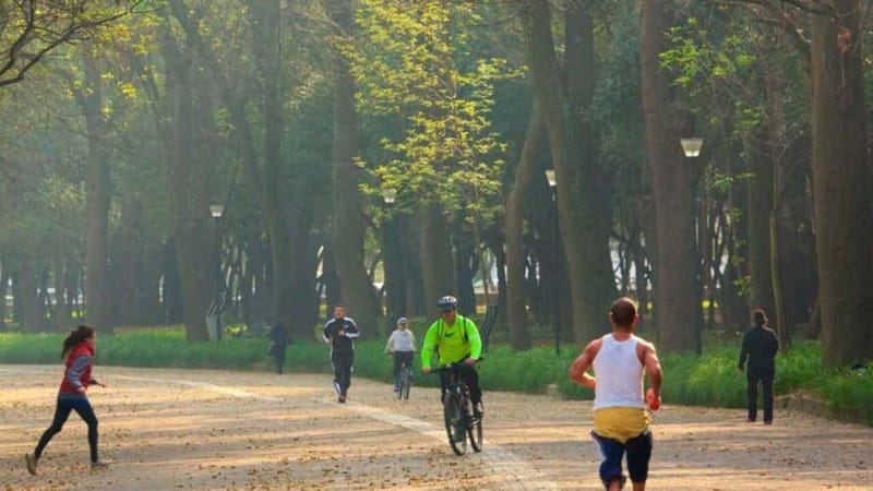 Mexico City: Private Chapultepec Park Bike Tour - Rolling out from Estela de Luz, then straight into Chapultepec Park