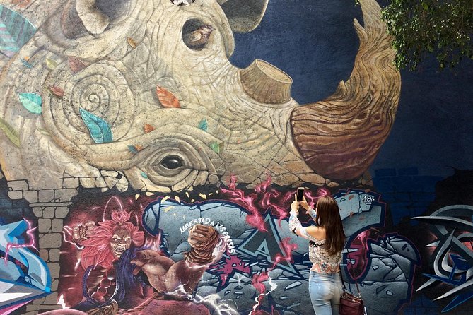 Mexico City Private Street Art Tour - What You’ll See on the Street Art Walk