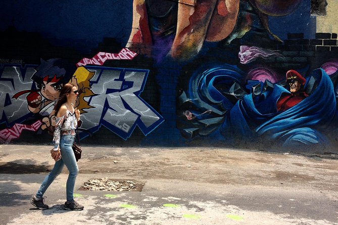 Mexico City Private Street Art Tour - Who This Tour Suits Best (and Who Might Skip It)