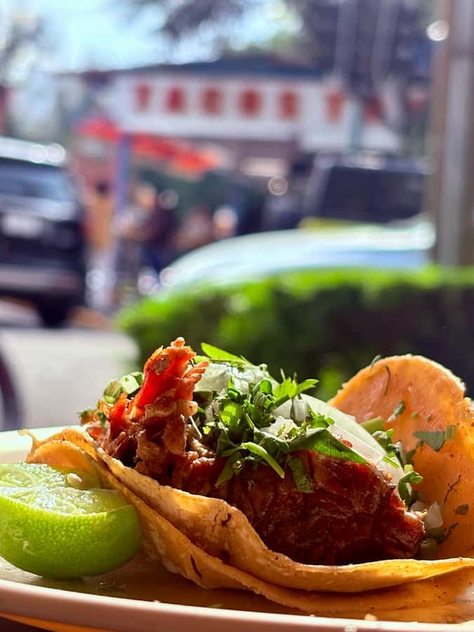Mexico City: Taco Tour with Michelin Guide Spot & Tastings - The First Stop: Hayito Tacos Arabes and the Taco Árabe Thread