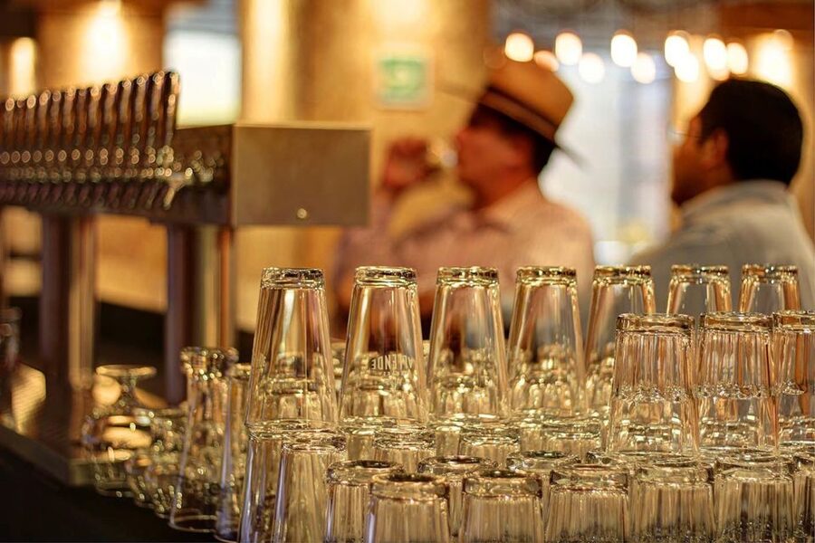 Mexico City Tasting Tour and Craft Beer Experience - Timing, Language, and How to Make the Tour Feel Smooth