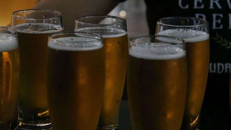 Mexico City Tasting Tour and Craft Beer Experience - Fiebre de Malta Brewery: Refined Craft for Unique Recipes