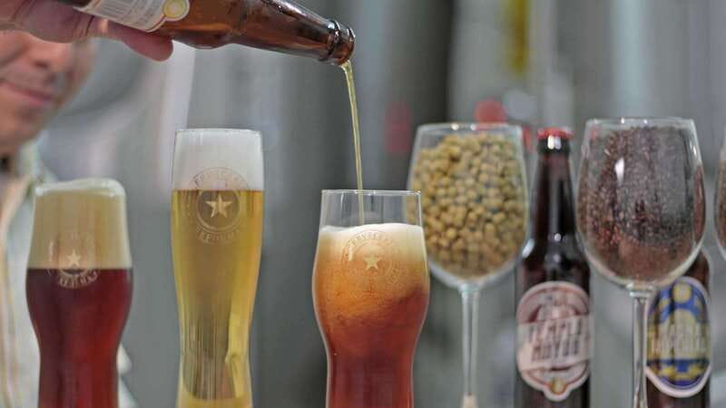 Mexico City Tasting Tour and Craft Beer Experience - What You Actually Taste: One Beer Per Brewery, Plus Real Style Variety