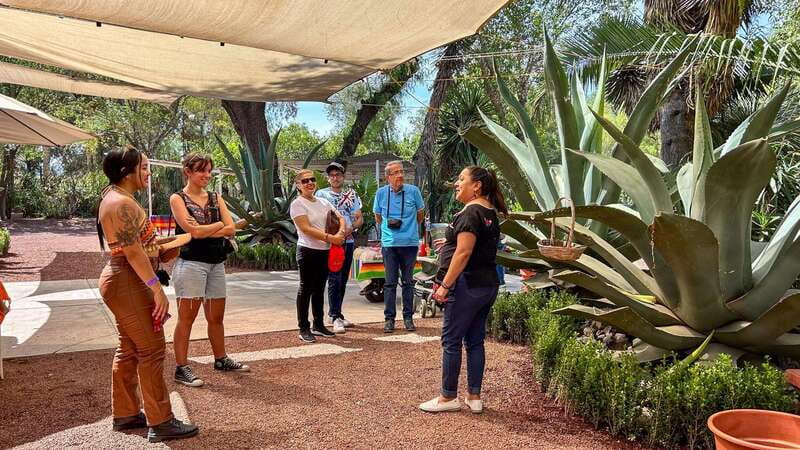 Mexico City: Teotihuacan, Tlatelolco & Basilica of Guadalupe - Why this 9-hour route feels like a smart Mexico City choice