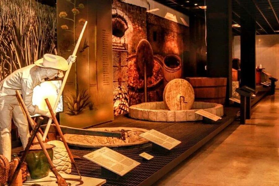 Mexico City: Tequila and Mezcal Museum Ticket with Tastings - Distillation secrets and ancestral origins, explained in plain language