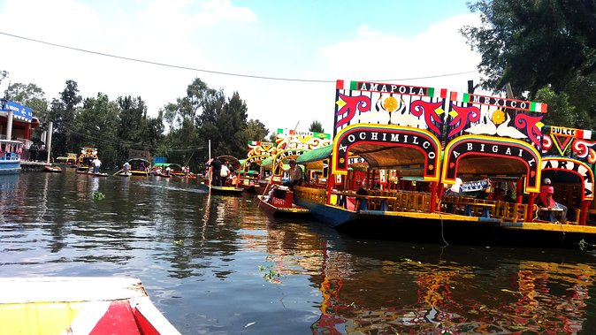 Mexico City Tour And Xochimilco - Stop 1: 4 hours on an Aztec boat for bird watching in Xochimilco