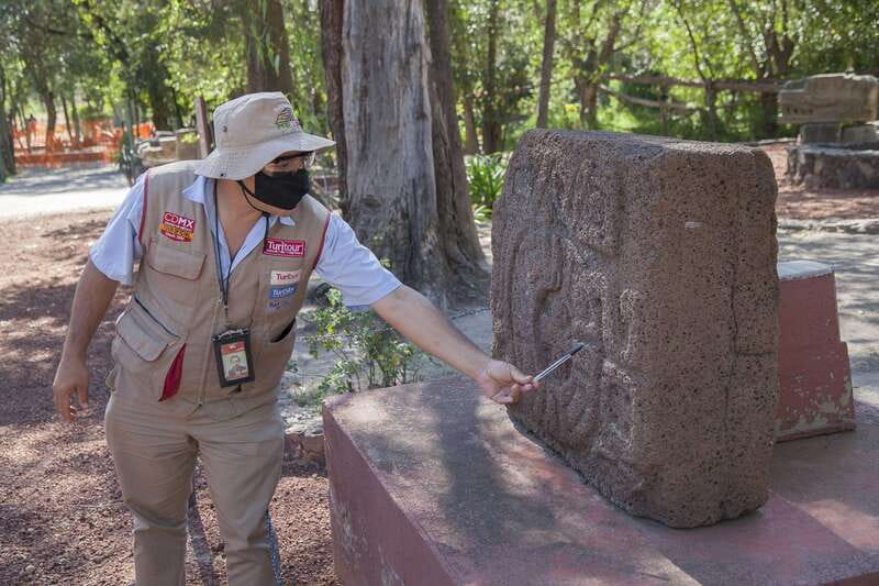 Mexico City: Trip to Teotihuacan Pyramids & Guadalupe Shrine - How a good guide changes Teotihuacan: murals, temples, and the “city of the gods”