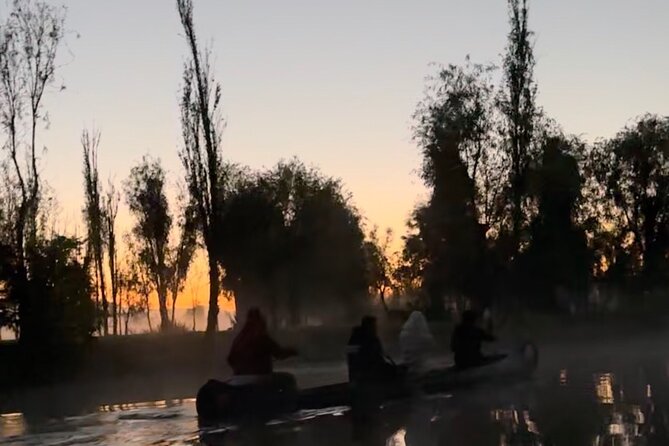 Mexico City: Xochimilco at sunrise + Breakfast and transportation - Reaching the chinampa: farm breakfast that is actually part of the story