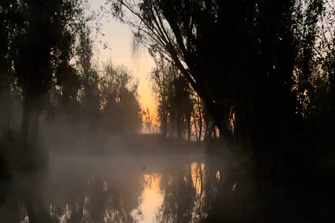 Mexico City: Xochimilco at sunrise + Breakfast and transportation - The return sail around 9:00am: different light, same canals