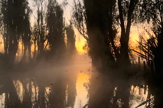 Mexico City: Xochimilco at sunrise + Breakfast and transportation - Who this tour fits best (and who should skip it)