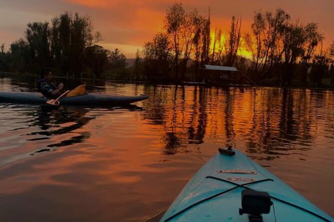 Mexico City: Xochimilco at sunrise + Breakfast and transportation - The kayuko canal ride: calm water, big sky, and real wildlife time