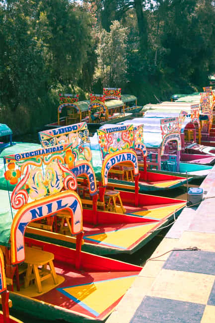 Mexico City: Xochimilco Boat with Guacamole & Premium Drinks - Why Xochimilco on a trajinera is worth your time