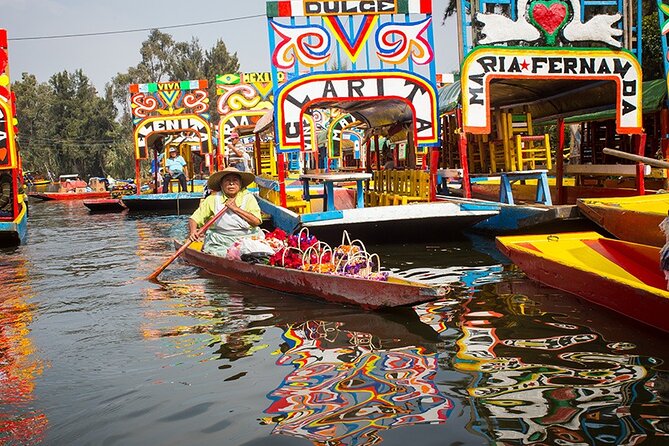 Mexico City: Xochimilco, Coyoacán and University City Tour - Morning Pickup and a Tight 6 to 7 Hour Highlights Route
