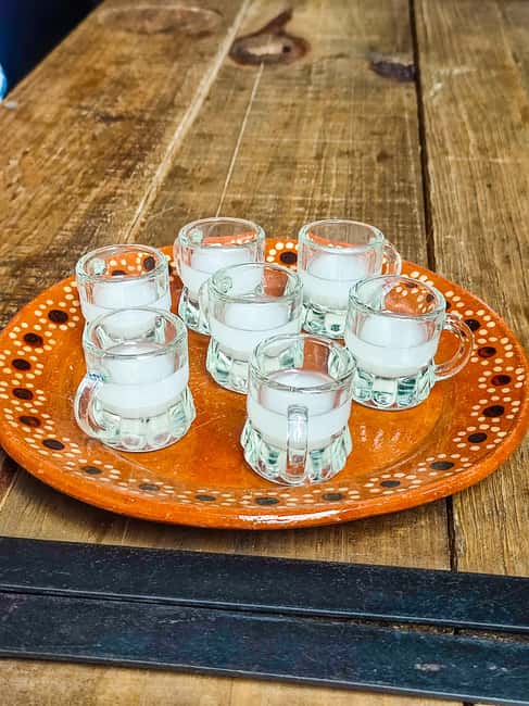 🟢Mexico Off The Beaten Track/ Street Food Bike Tour 🟢 - Pulque tasting, why it matters before mezcal and tequila