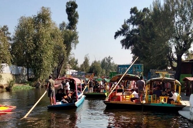 Mixology, Food, Wine and Beer Experience in Xochimilco - Weather and day-of reality: what can change