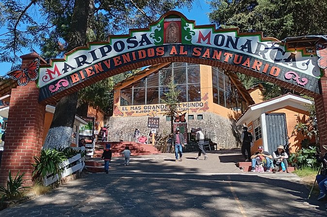 Monarch Butterflies El Rosario Preserve from Mexico City - The Monarch Flight Variable: Sun and Temperature Are Part of the Deal