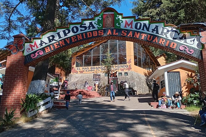 Monarch Butterflies El Rosario Preserve from Mexico City - Price and Value for a Private Group Up to 3