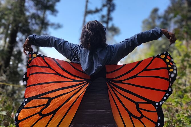Monarch Butterfly Reserve: Piedra Herrada Magical Valle de Bravo - The drive to Sierra Chincua: a long ride that still feels useful