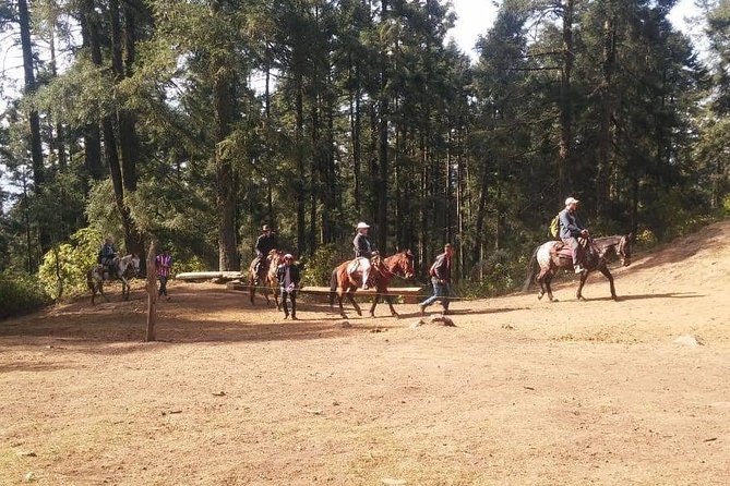 Monarch Butterfly Tour from Mexico City - Price and value: how $220 stacks up for a full-day day trip