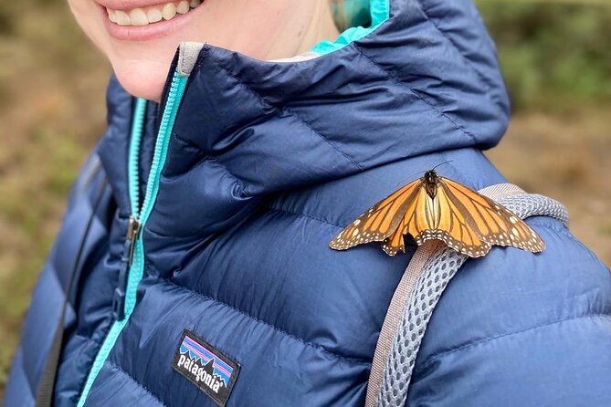 Monarch Butterfly Tour Mexico: Sierra Chuincua and Magic Town - Key Things You Can Expect