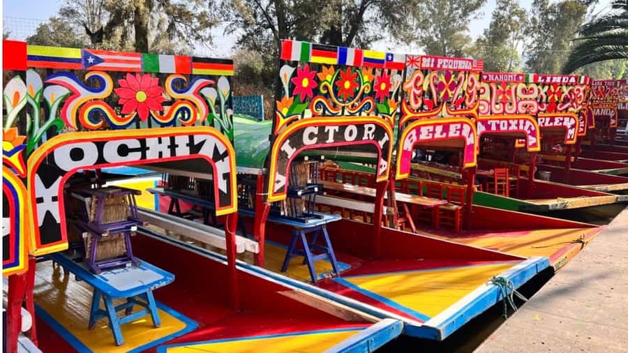 Music and Tequila in Xochimilco visits Coyoacán and CU - Coyoacán walking time: squares, cobblestones, and market snacks