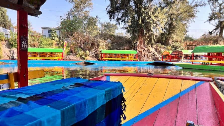Music and Tequila in Xochimilco visits Coyoacán and CU - Who this tour fits, and who should pick a different plan